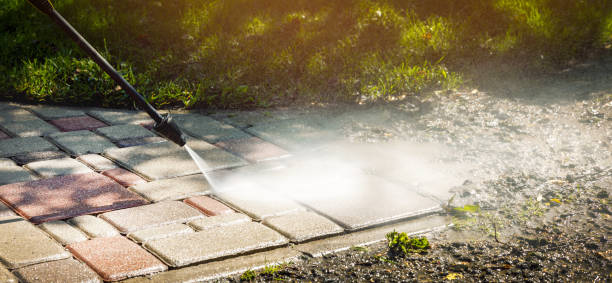 Best Fleet Vehicle Washing  in Krum, TX